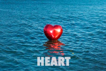 John Cluderay Imaging - Heart Series